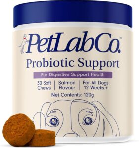 Probiotics for Dogs, Support Gut Health