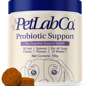 Probiotics for Dogs, Support Gut Health