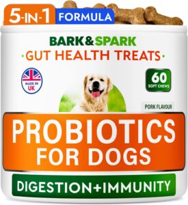 Advanced Dog Probiotics for Gut Health
